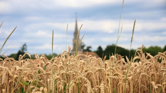 Climat : les conséquences de l'inaction climatique en France en 10 exemples