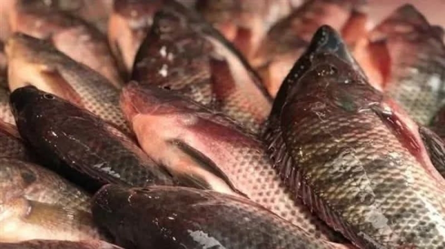 سوسة: حجز 1.054 طنّ من الأسماك وغلال البحر غير صالحة للاستهلاك البشري